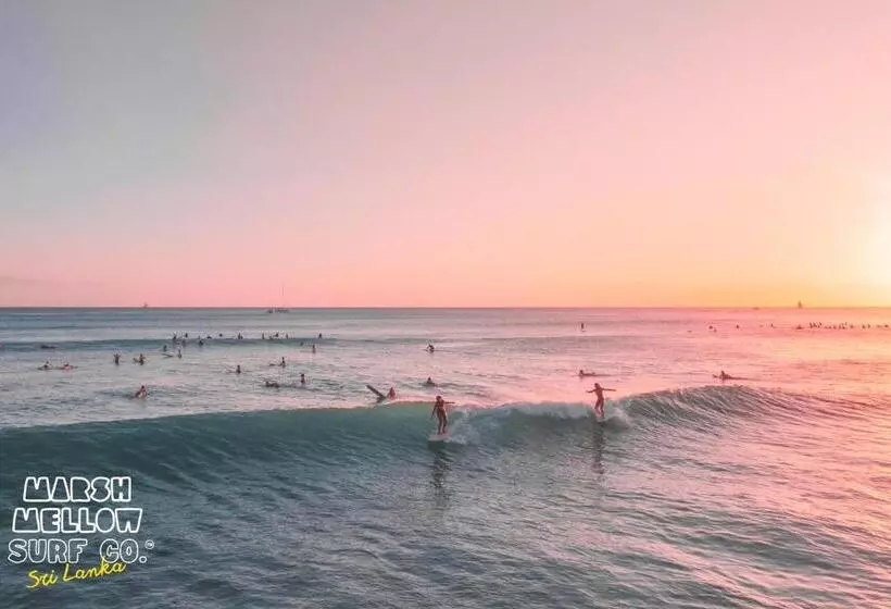 ベッドアンドブレックファースト Marshmellow Beach Rooms   Sri Lanka