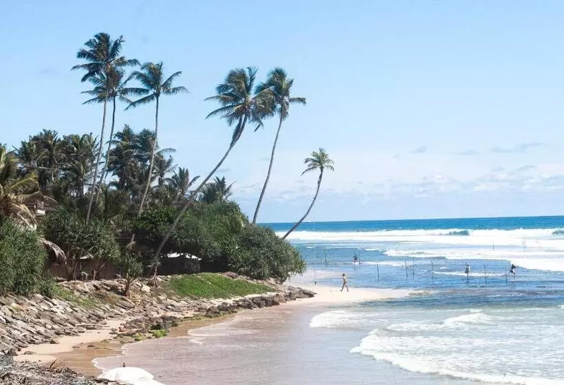 ベッドアンドブレックファースト Marshmellow Beach Rooms   Sri Lanka