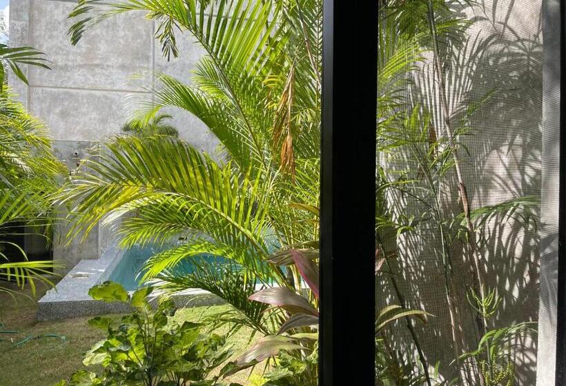 Otel Suites La Negra