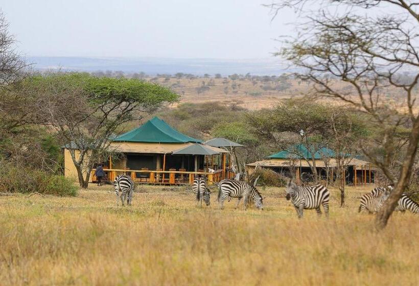 בית מלון כפרי Ndoto Serengeti Camp