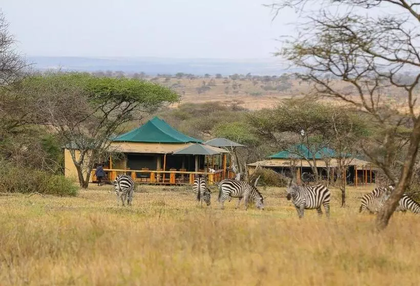 ホテル Ndoto Serengeti Camp