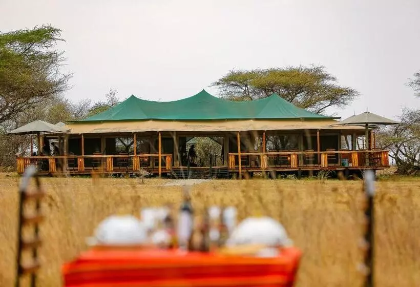 ホテル Ndoto Serengeti Camp