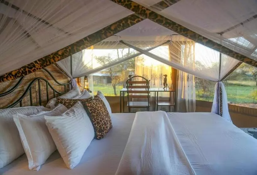 ホテル Ndoto Serengeti Camp