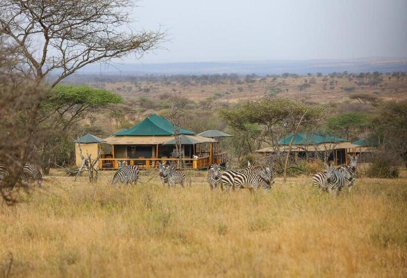 בית מלון כפרי Ndoto Serengeti Camp