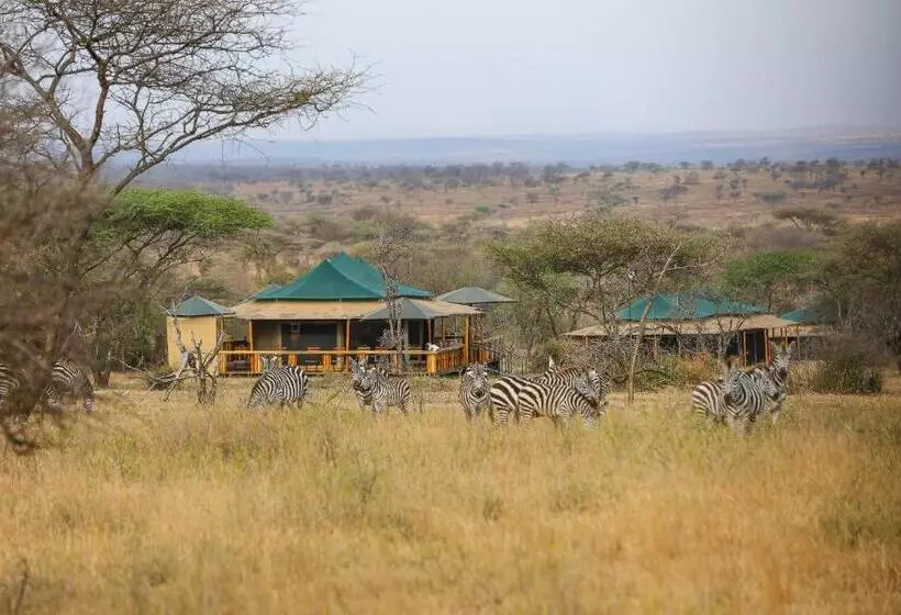 ホテル Ndoto Serengeti Camp