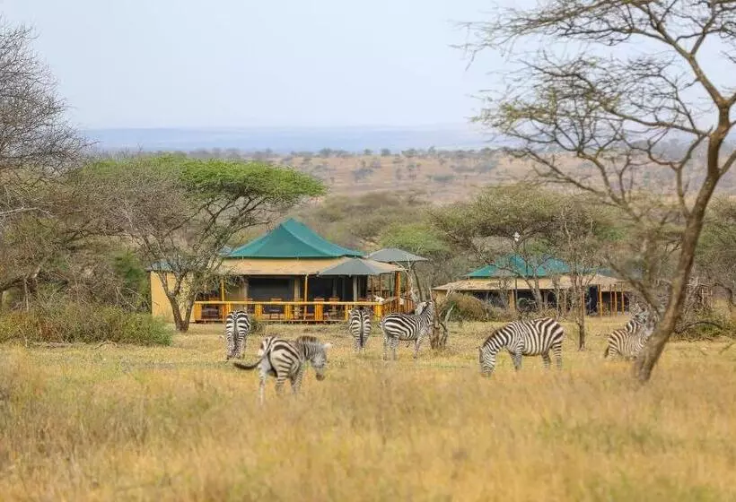 ホテル Ndoto Serengeti Camp