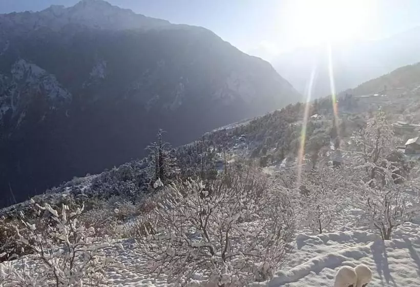 Hotelli Rocks And Pine Auli