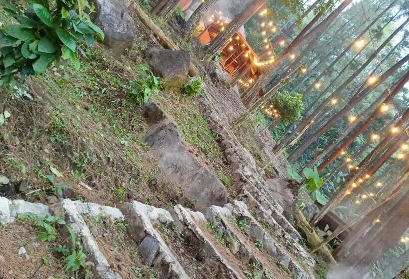 Hotel The Nest Glamping