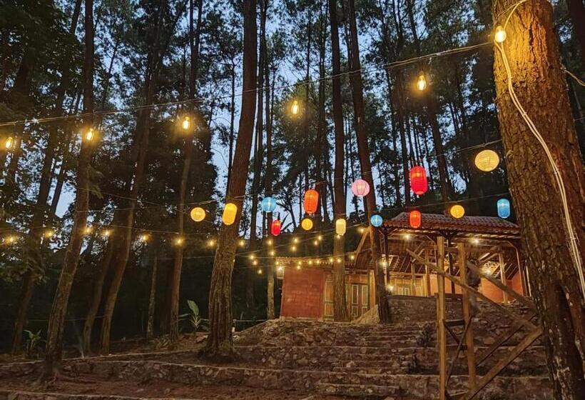 Hotel The Nest Glamping