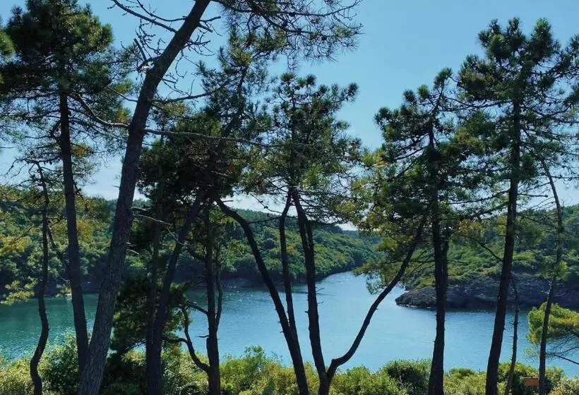 ホテル Verdedavillas,ardeşen Villa, Ardeşen Kır Evi,verde Da Villas