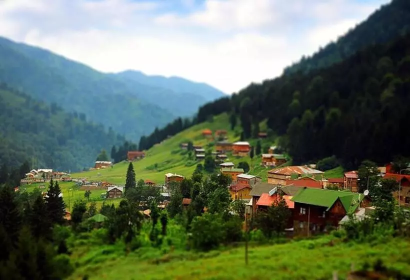ホテル Verdedavillas,ardeşen Villa, Ardeşen Kır Evi,verde Da Villas