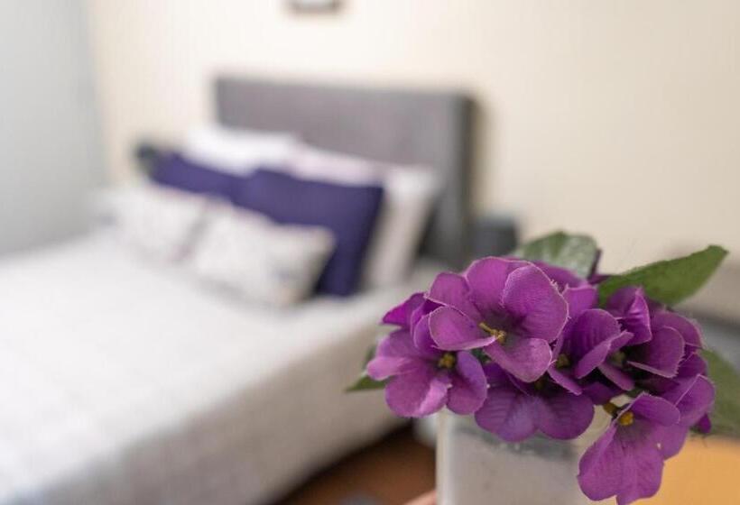 膳宿费 Coliving Med By Hotel Mediterràneo