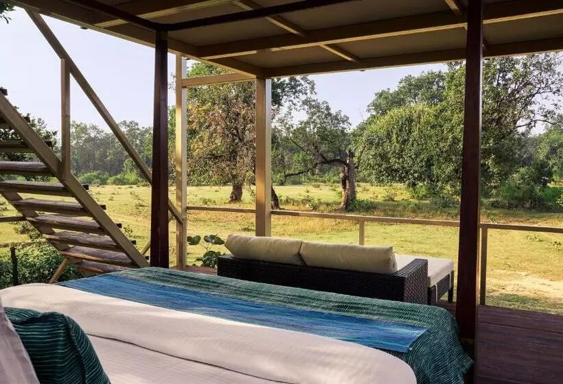 リゾートホテル Bagh Tola, Bandhavgarh Tiger Reserve