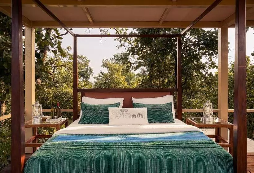 リゾートホテル Bagh Tola, Bandhavgarh Tiger Reserve