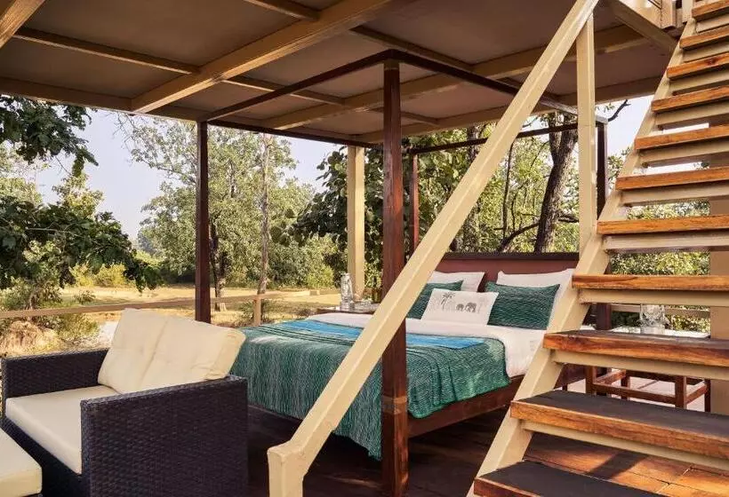 リゾートホテル Bagh Tola, Bandhavgarh Tiger Reserve