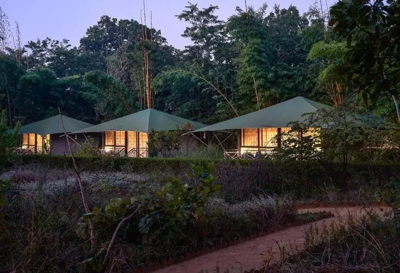 リゾートホテル Bagh Tola, Bandhavgarh Tiger Reserve