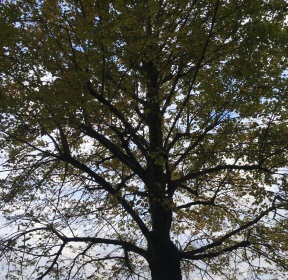 민박 Au Bois Noël Le Charme