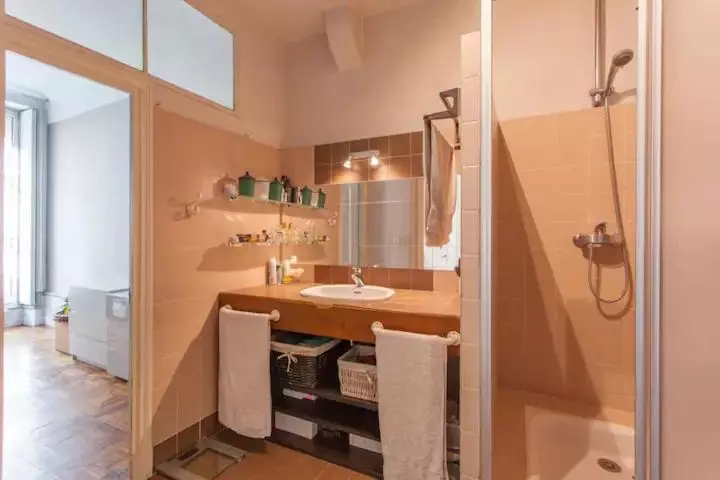 ベッドアンドブレックファースト Chambre Spacieuse Dans Magnifique Appartement Xvii