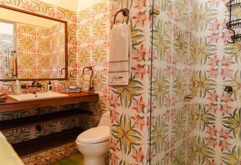 Bed & Breakfast Hacienda Coloma