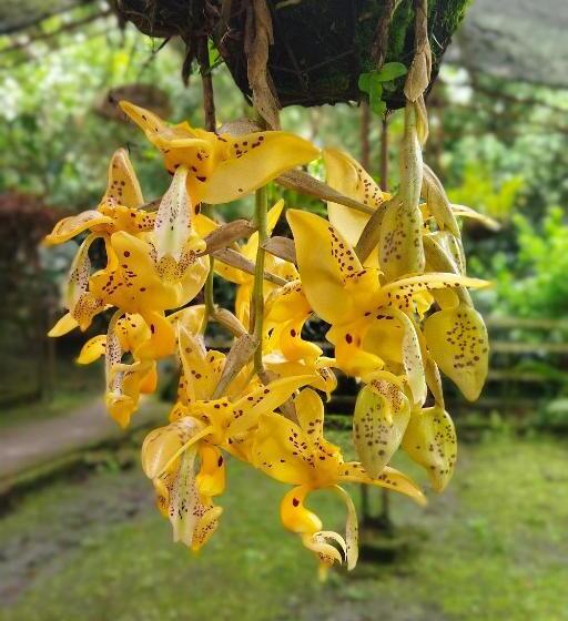 Bed & Breakfast Hacienda Coloma