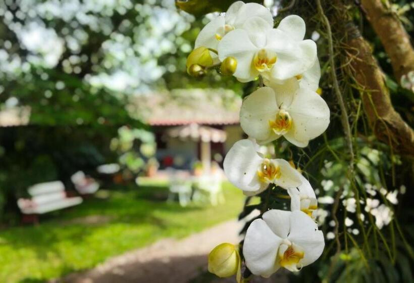 Bed & Breakfast Hacienda Coloma