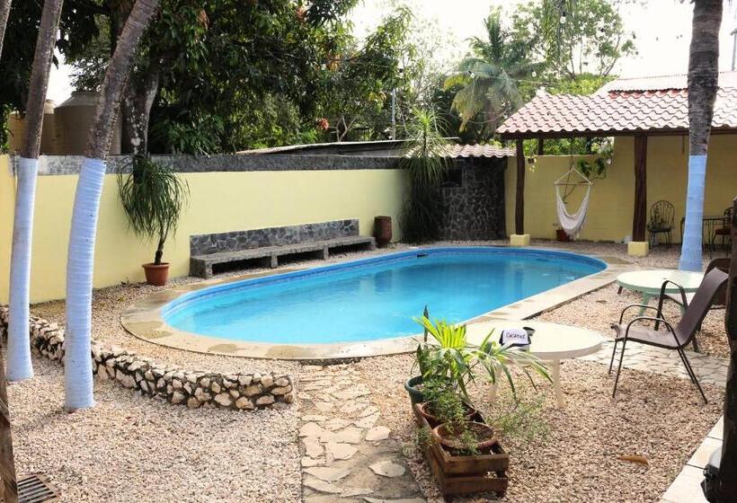 호텔 Coconut Beach House