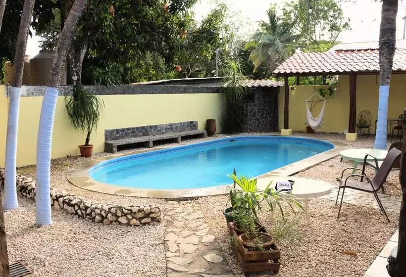 Hotelli Coconut Beach House