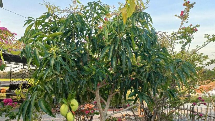 هتل The Farmer Home