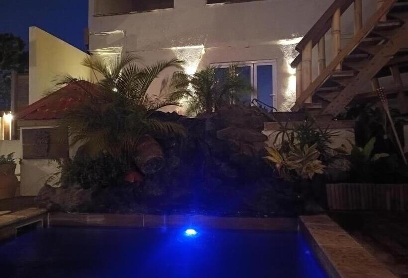 پانسیون No Name