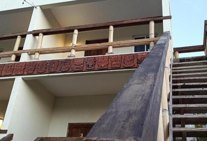 پانسیون No Name