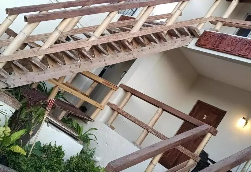 پانسیون No Name