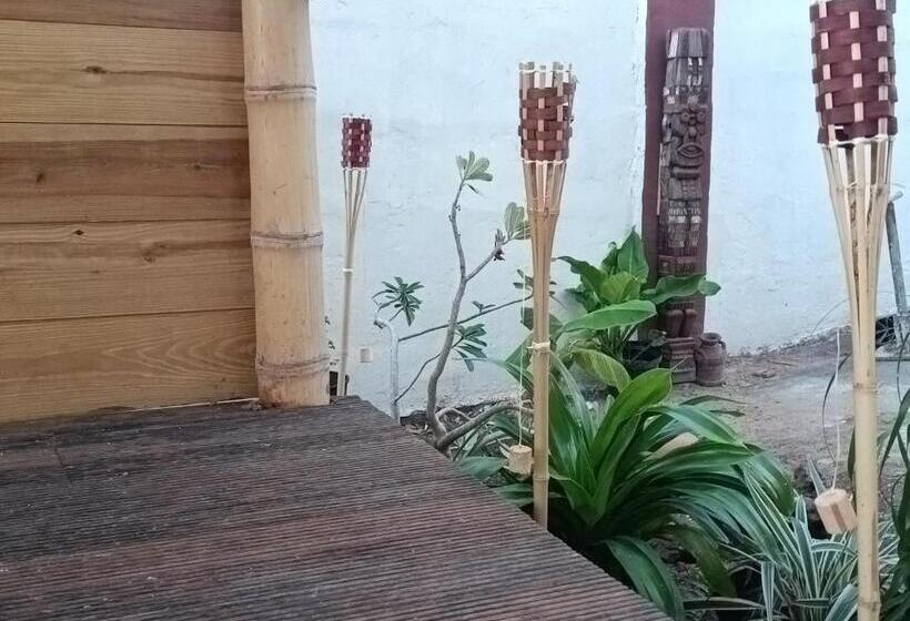 پانسیون No Name