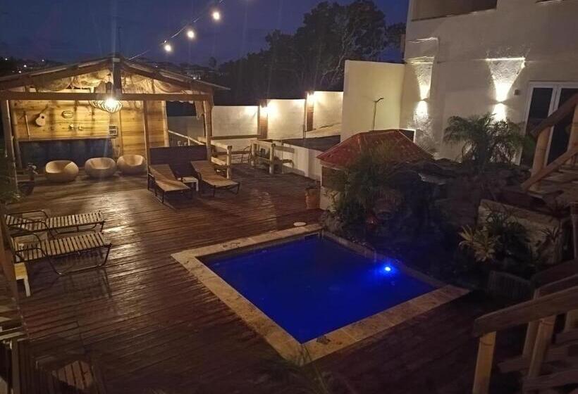 پانسیون No Name