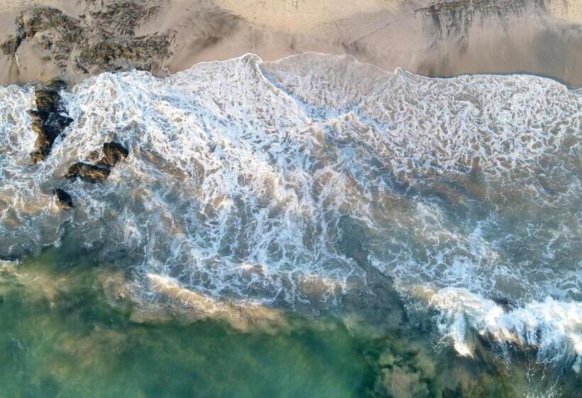 リゾートホテル Peace Retreat Costa Rica