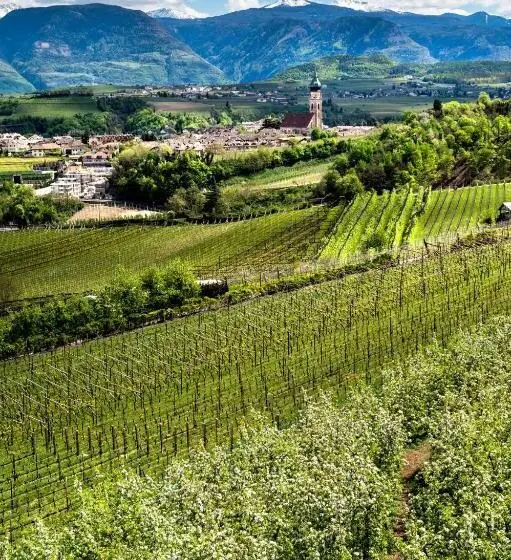 Belia Lofts   Adults Only   Apartments