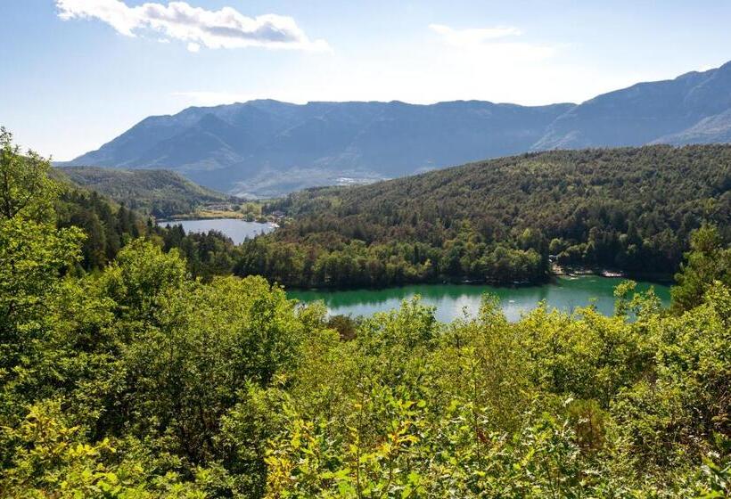 Belia Lofts   Adults Only   Apartments