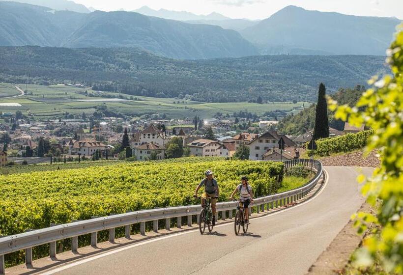 Belia Lofts   Adults Only   Apartments