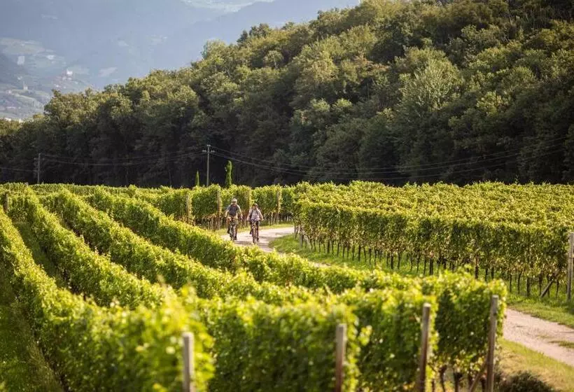 Belia Lofts   Adults Only   Apartments