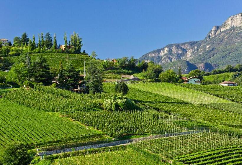 Belia Lofts   Adults Only   Apartments