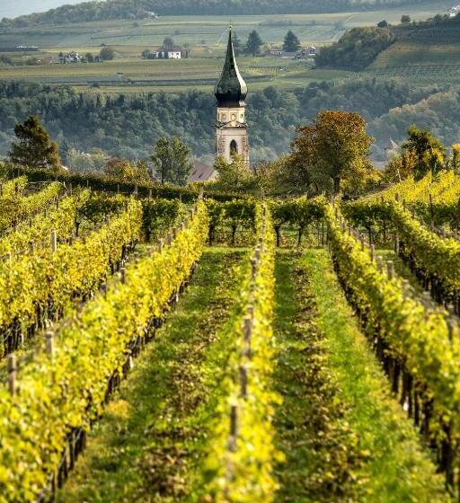 Belia Lofts   Adults Only   Apartments