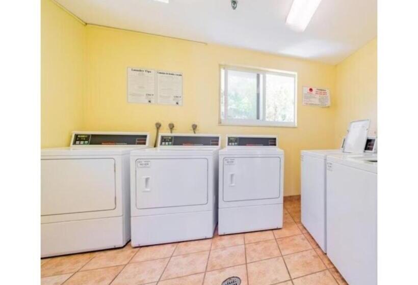 Discover The Charm And The Sea Gardens, An Exceptional Gold Coast Studio Condo Retreat Special Off