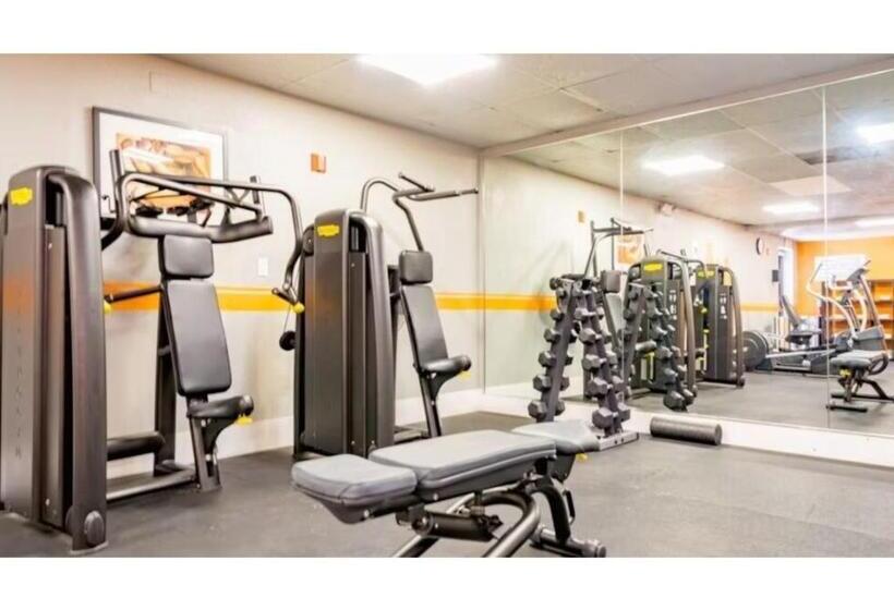 Discover The Charm And The Sea Gardens, An Exceptional Gold Coast Studio Condo Retreat Special Off