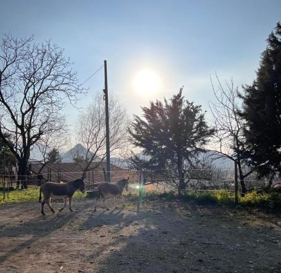 בית מלון כפרי Azienda Agricola Zootecnica Soriente Di Guglielmo Areh Soriente & C.s.a.s