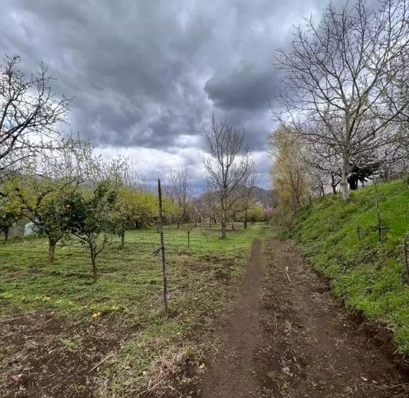 ホテル Azienda Agricola Zootecnica Soriente Di Guglielmo Areh Soriente & C.s.a.s