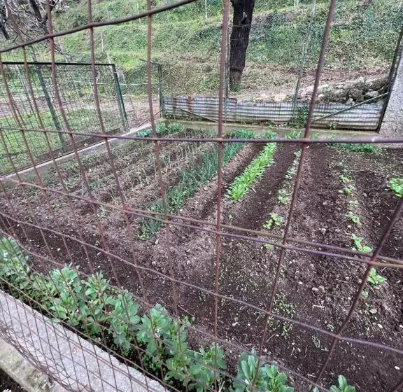 ホテル Azienda Agricola Zootecnica Soriente Di Guglielmo Areh Soriente & C.s.a.s
