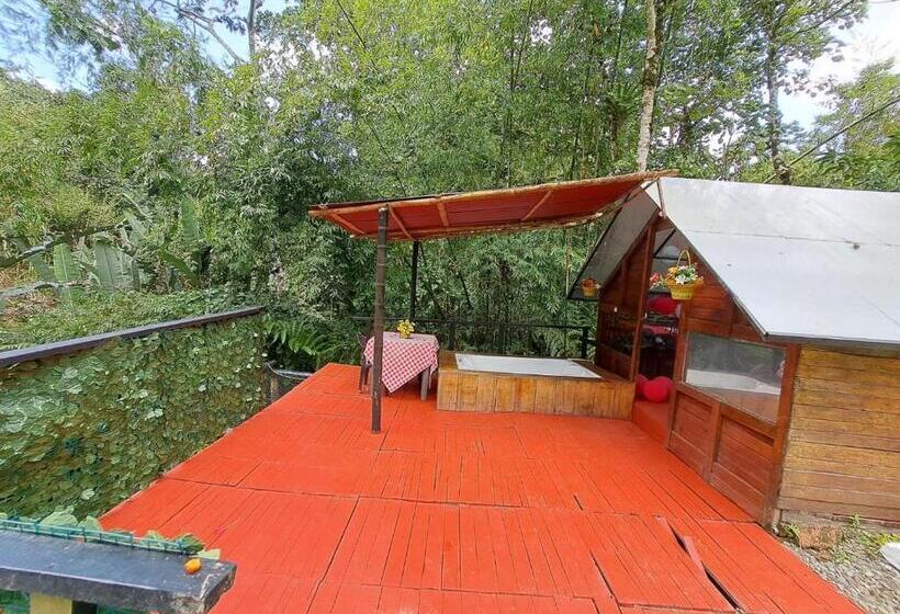 Hôtel Glamping Horse