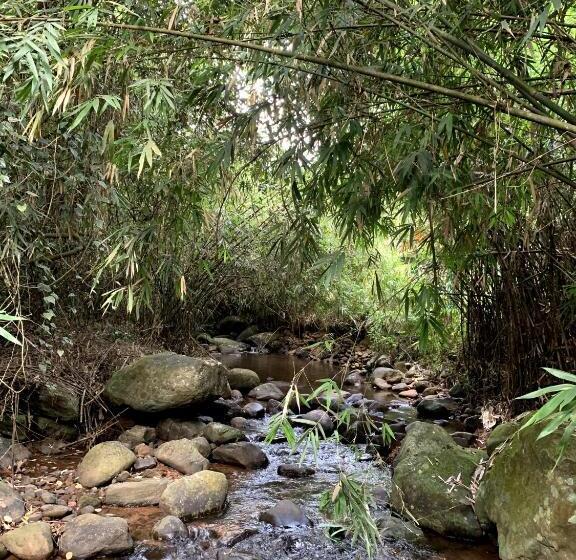 فندق Liberty Resort