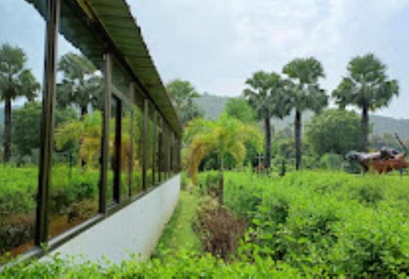 Jimira Resort , Shivrajpur