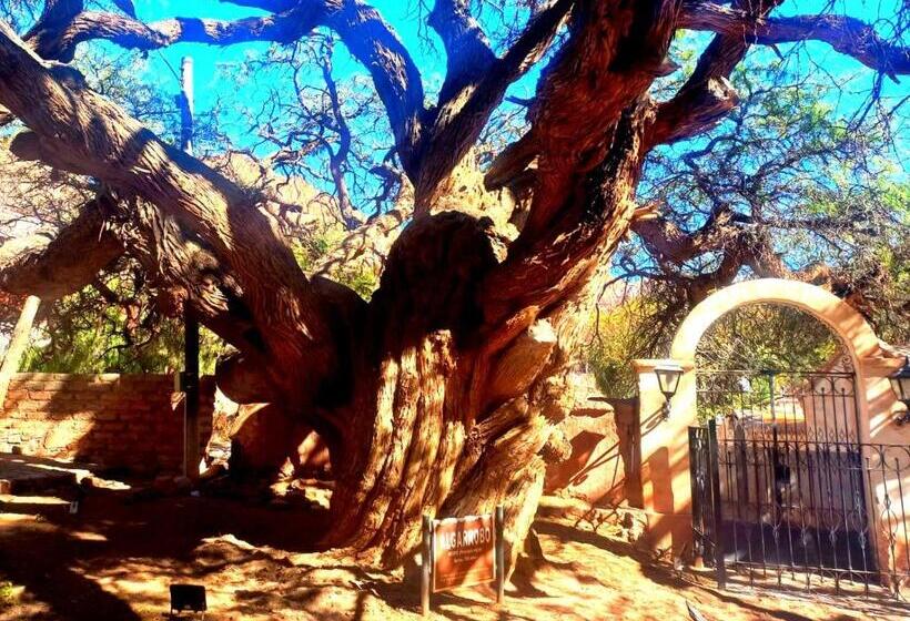 La Posta De Viltipoco