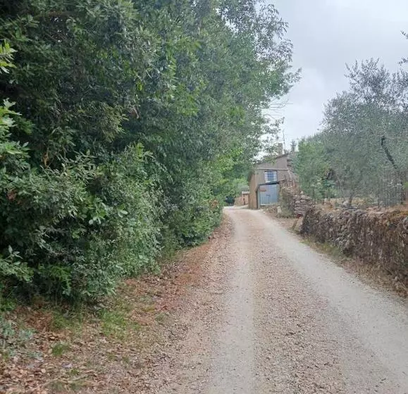 ペンション Affittacamere La Casella Monteriggioni